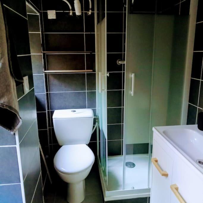 Le Cosy Chaleureux Appartement 생테티엔 외부 사진